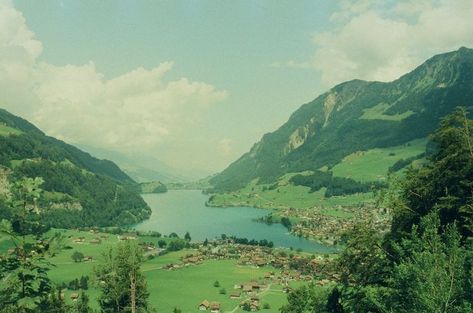 Film Photography 35mm Nature, Switzerland Film Photography, Film Photography Green, Nature On Film, Film Photography Landscape, Nature Film Photography, Film Nature, Vintage Film Photography, Nature Film