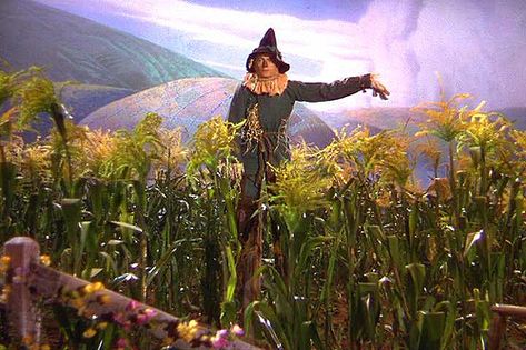 The Wizard of Oz (1939) by twm1340, via Flickr Scarecrow Pictures, Wizard Of Oz Pictures, Scarecrow Wizard Of Oz, Oz Scarecrow, Ray Bolger, Wizard Of Oz Quotes, Wizard Of Oz Movie, Wizard Of Oz 1939, The Rocky Horror Picture Show