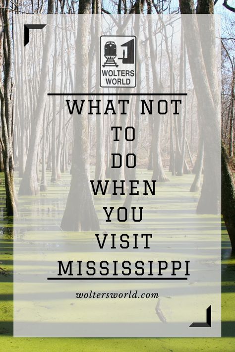 What not to do when you visit Mississippi | Mississippi Travel Guide | USA Travel Tips Mccomb Mississippi, Visit Mississippi, State Of Mississippi, Mississippi Travel, Usa Trip, Best Flights, Usa Travel, Train Travel, Hey There