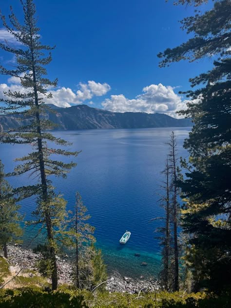 beautiful place to hike in oregon Beachy Backgrounds, Oregon Scenery, Lake Core, National Park Aesthetic, Washington Summer, Oregon Lakes, Oregon Summer, Crater Lake Oregon, Forest Fall