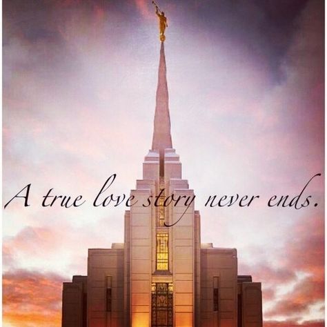 That's why I married the man I love for time and all eternity. #LDS #Mormon #TempleWedding Lds Pictures, Temple Marriage, Mormon Quotes, History Wall, My Hobbies, Lds Wedding, Families Are Forever, Temple Wedding, Press The Button