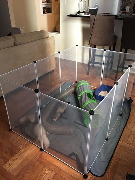 Diy Ferret Playpen, Diy Kitten Playpen, Kitten Playpen, Ferret Play Area Ideas, Ferret Playpen, Dog Playpen Indoor, Heavy Duty Dog Crate, Dog Pens, Airline Pet Carrier