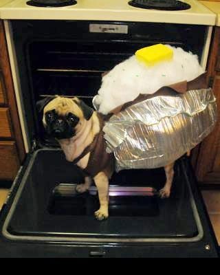 Baked Potato Dog Costume. the pug looks proud. I think it gets dressed up all the time. Potato Costume, The Bloodhound Gang, Pet Halloween Costumes, Dog Halloween Costumes, A Pug, Cute Pugs, Dog Costumes, Dog Costume, Halloween Animals