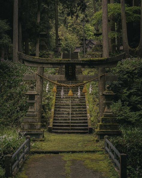 Single Lens Reflex Camera, Japan Prefectures, Hakone, Shiga, Japan Photo, Tag A Friend, Garden Arch, Bird Bath, Outdoor Structures