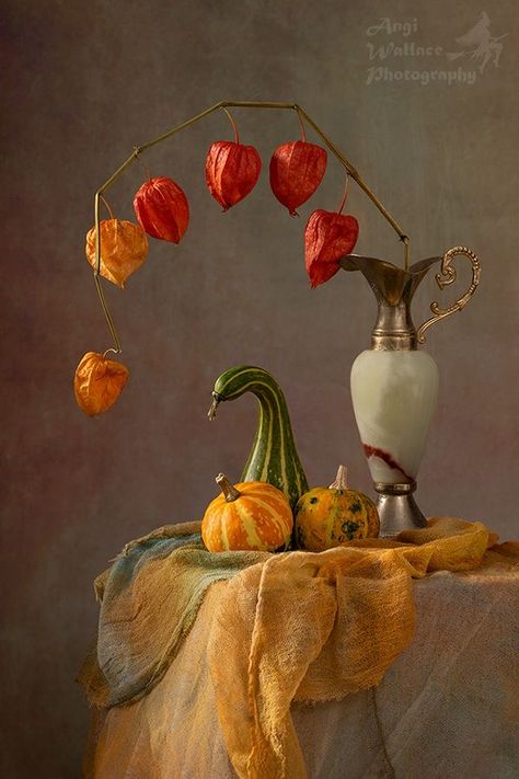 Chinese Lanterns Plant, Creative Portraiture, Still Life Pictures, Pumpkin Canvas, Life Drawing Reference, Food Art Photography, Silk Fiber, Silk Paper, Magic Design