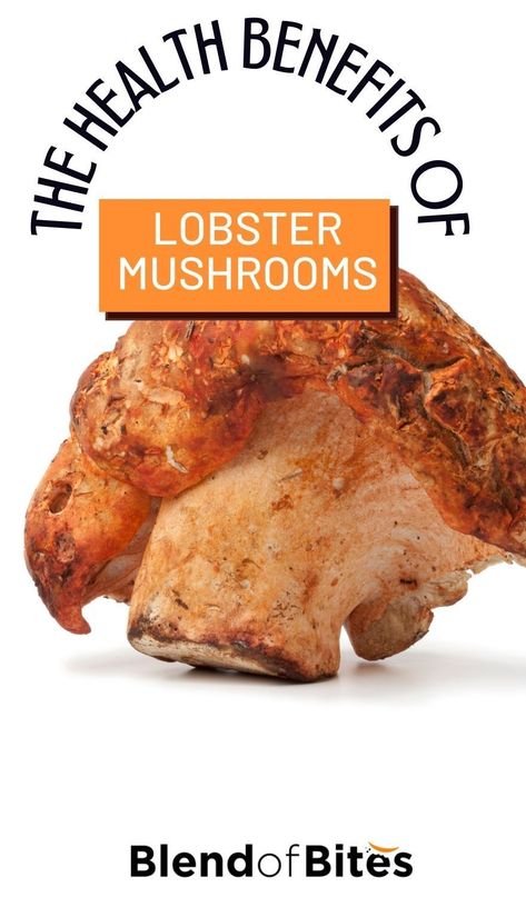 Lobster Mushroom Recipes, Foods That Contain Fiber, Kinds Of Mushrooms, Lobster Mushroom, Frozen Lobster, Super Foods List, Mushroom Varieties, Mushroom Benefits, How To Cook Lobster