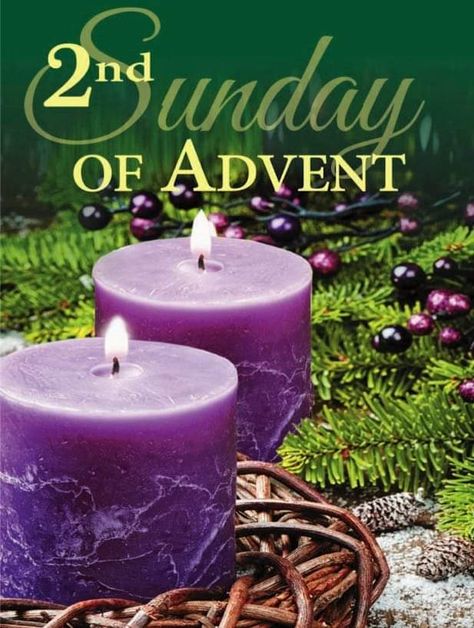 2nd Sunday Of Advent Candle, 2nd Sunday Of Advent, Christmas Morning Quotes, Advent Catholic, Elf Movie Quotes, Advent Prayers, December Quotes, Christmas Prayer, Eco Friendly Holiday