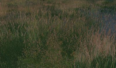 Alf-si CC: TS4 retextures: EP02 grass Sims 4 Grass Retexture, Grass Field, Ts4 Cc, Landscaping Plants, Sims 4 Cc, Sims 4, Plants, Pins, Quick Saves