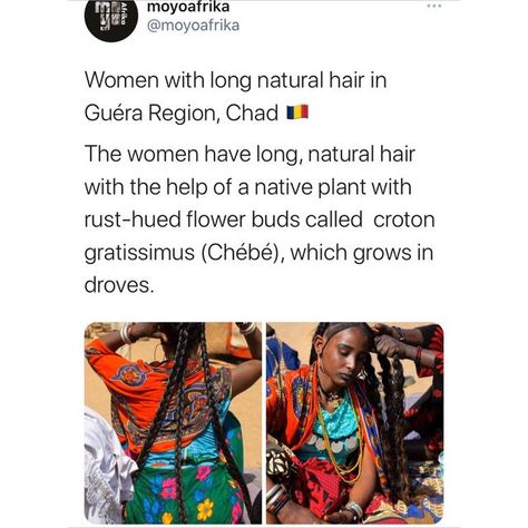 MoyoAfrika on Instagram: "In the northern part of Chad, the women of the Bassara tribe have long kept a hair care secret that helps them retain some serious inches. The age-old beauty tradition has garnered quite a bit of popularity lately among folks with Afro-textured hair. Chebe is traditionally mixed with water, creating a thick paste that is then applied to the hair . . —— #panafrican #blacktraveljourney #blacktravelfeed #africanhistory #blacktravel #everydayafrica #africancreatives #repr Chad Women, Pan Africanism, Travel Noire, Afro Textured Hair, Long Natural Hair, Hair Remedies, African Diaspora, Black Travel, African History