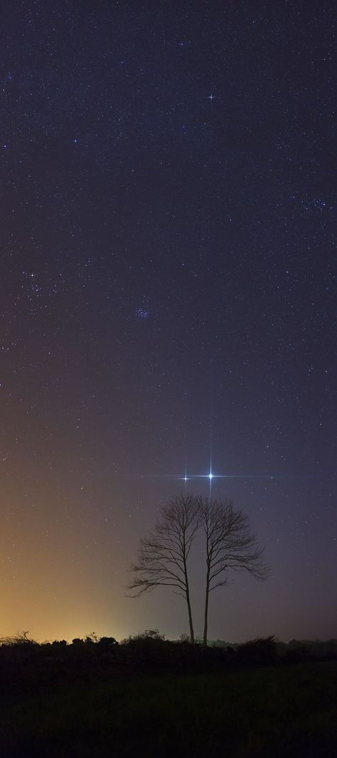 Jupiter And Venus - Imgur. ... http://scotfin.com/ says, Obviously, but very nice in its simplicity (and big on Imgur). Venus Jupiter, Two Trees, Foto Tips, To Infinity And Beyond, The Night Sky, Chiaroscuro, Science And Nature, Out Of This World, Milky Way