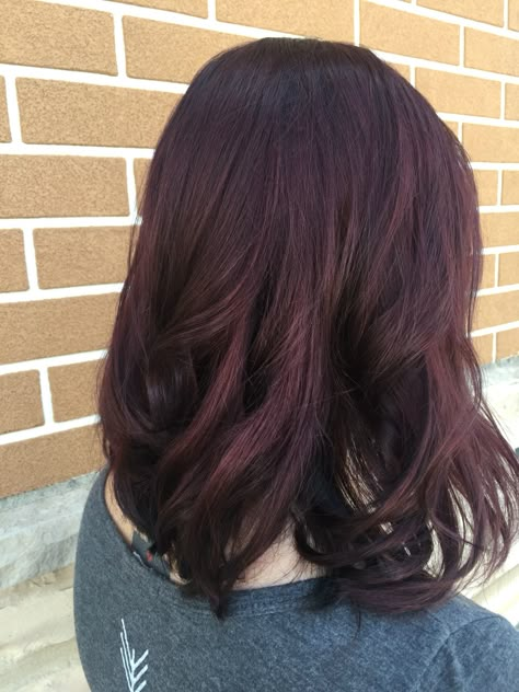 Violet hair Red violet Bob Lob Brown Red Purple Hair, Dark Reddish Purple Hair, Dark Cherry Red Hair Short, Dark Red Violet Hair, Purplish Red Hair Color, Purplish Red Hair, Plum Bob Haircut, Red Violet On Dark Hair, Dimensional Red Violet Hair