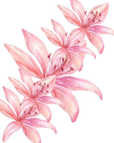 JPG and PDF Printable Product. Cute Macbook Backgrounds, Pics For Your Wall, Canvas Dashboard, Lily Aesthetic, Summer Prints Wallpaper, Lilies Drawing, Pink Backgrounds, Abstract Flowers Print, Christmas Leaves