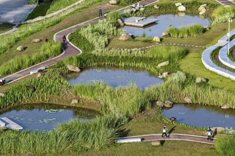 Bike Path Design, Water Feature Landscape Design, Sponge Garden, Wetland Design, Wetland Landscape, Sponge City, Wetland Park, Yangtze River, Eco City