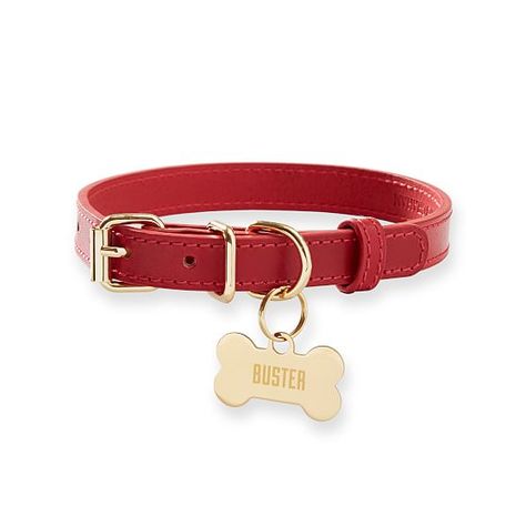 Unique Dog Collars, Velvet Dog Collar, Red Dog Collar, Leather Dog Collar Custom, Luxury Dog Collars, Puppy Collar, Cute Dog Collars, Designer Dog Collars, Girl Dog Collars