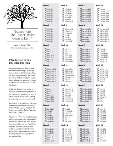 <3 1 Year Bible Reading Plan 2023, 30 Day Bible Reading Plan For Beginners, 1 Year Bible Reading Plan 2024, Daily Bible Reading Plan For Beginners, 2024 Bible Reading Plan, Read The Bible In A Year Plan, Bible In A Year Plan, Bible Reading Plan For Beginners, One Year Bible Reading Plan