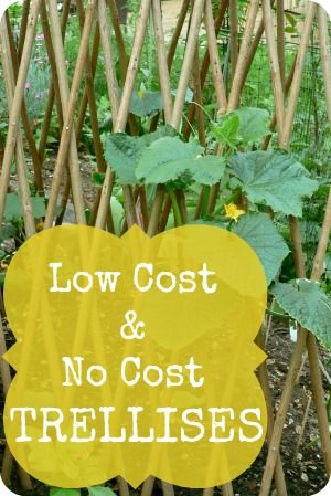 Low Cost & No Cost Trellis Ideas | The 104 Homestead Trellis Diy Cheap, Diy Flower Trellis Ideas, Cheap Diy Garden Arbor, Upcycled Trellis Ideas, Easy Trellis Diy, Diy Flower Trellis, Cheap Garden Trellis Ideas, Diy Green Bean Trellis, Hops Trellis Ideas