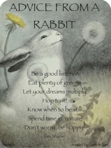 Rabbit Quotes, English Girl, Cute Good Morning Quotes, Good Listener, Advice Quotes, Good Thoughts Quotes, Animal Quotes, Uplifting Quotes, Quotable Quotes