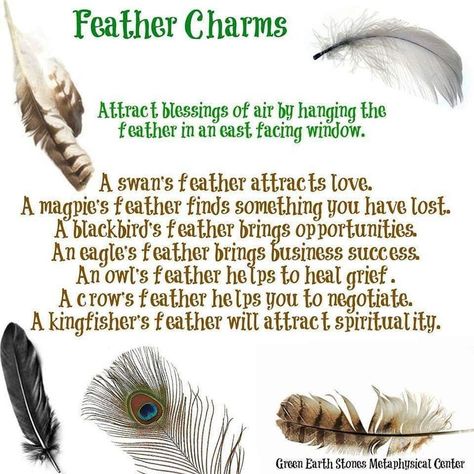 Good morning witches! What kind of feathers do you find? #witches #witch #witchesofinstagram🔮🌙 #witchesofinstagram #witchesofcolorado… Good Morning Witches, Feather Magic, Finding Feathers, Feather Symbolism, Feather Meaning, Numerology Compatibility, Crow Feather, Owl Feather, Green Witchcraft