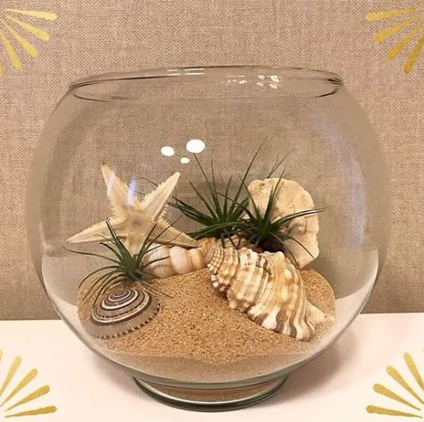 Beach Centerpieces, Toples Kaca, Seashell Art Diy, Air Plants Decor, Diy Beach Decor, Art Coquillage, Beautiful Terrariums, Shell Bowl, Seashell Projects