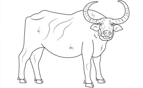 How to Draw a Water Buffalo Step by Step Carabao Drawing Easy, Buffalo Drawing Simple, Buffalo Template, Water Buffalo Drawing, Buffalo Drawing Easy, Drawing Buffalo, Buffalo Outline, Buffalo Sketch, Buffalo Drawing