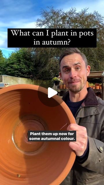 Michael Griffiths on Instagram: "What can I plant in pots in autumn? Don’t let the pots you used in summer sit empty until spring, plant them up now with @dobbiesgardencentres for some winter colour. Violas, pansies, heathers, conifers, ivy and hardy tub plants will all look fantastic this time of year as our gardens die down and will continue to provide impact through autumn and in to winter. I personally love bold single tones like whites, reds and greens which will catch the eye in a pot and will look equally fab in a hanging basket. Ad #garden #gardening #plants #gardenlove #gardeninglove" Allium In Pots, Pansy In Pots, Autumn Hanging Baskets, Autumn Garden Pots, Autumn Planters, Winter Hanging Baskets, Plants In Baskets, Heather Plant, Winter Planter