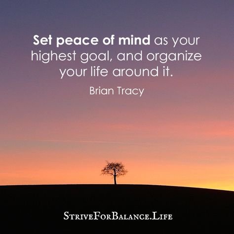 Set peace of mind as your highest goal, and organize your life around it.   ~Brian Tracy Quote About Peace, Standing On The Edge, Grey Matter, Brian Tracy, Attitude Of Gratitude, Simplify Your Life, T B, S B, Romantic Love Quotes