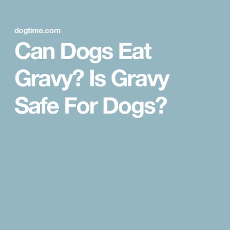 Can Dogs Eat Gravy? Is Gravy Safe For Dogs? Gravy For Dogs, Dog Gravy, Good Gravy, Diy Dog Food, Dog Nutrition, Dog Help, Can Dogs Eat, Dog Eating, Dog Health