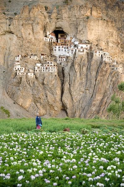 Monks were very adamant about building their monasteries on the side of or on top of mountains. Seeing these magnificent constructions are fascinating. This was the Phugatl monastery in India. Magic Places, Halong Bay, Leh, Bhutan, Tangerang, Pretty Places, Places Around The World, Tibet, Wonderful Places