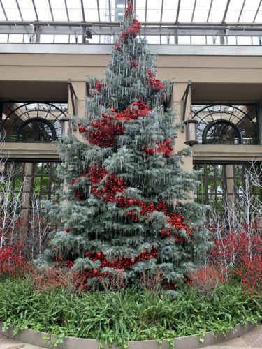 10 Great Christmas Tree Ideas From Longwood Gardens - Here By Design Longwood Gardens Christmas, Callaway Gardens, Christmas Tree Pictures, Southern Garden, Longwood Gardens, Modern Garden Design, Garden Christmas, Christmas Garden, Christmas Tree Ideas