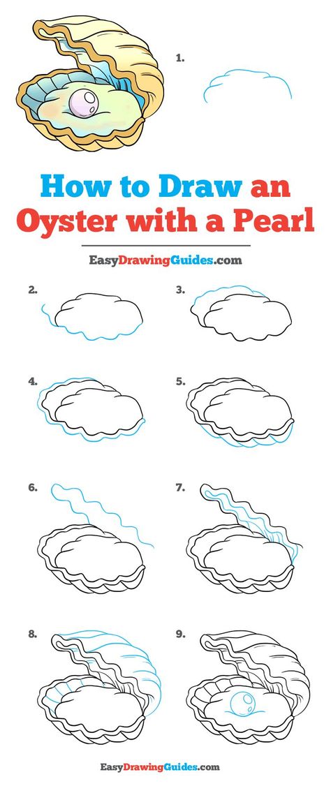 Learn How to Draw an Oyster with a Pearl: Easy Step-by-Step Drawing Tutorial for Kids and Beginners. #Oyster with a Pearl #drawingtutorial #easydrawing. See the full tutorial at https://easydrawingguides.com/how-to-draw-an-oyster-with-a-pearl/.