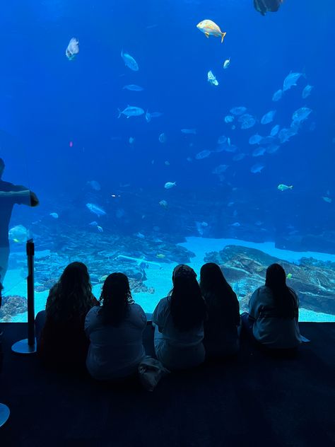 #aquarium #friendgroup #findingnemo Aquarium Trip, Aquarium With Friends, Aquarium Birthday, Aquarium Pictures, In Aesthetic, Friend Activities, School Trip, Summertime Fun, Real Friends