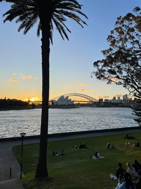 #sydney #operaHouse #harbourbridge #australia #aesthetic #green #picnic #evening Sydney Australia Travel Aesthetic, Australia Aesthetic Sydney, Australia Sydney Aesthetic, Syd Core, Sydney Australia Aesthetic, Aesthetic Sydney, Australian Aesthetic, Sydney Aesthetic, Sydney Winter