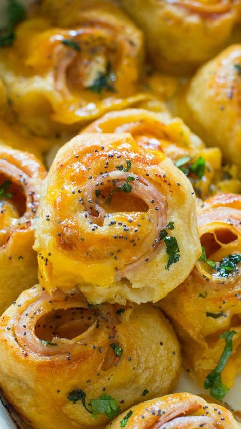 Hot Turkey and Cheese Party Rolls! - Passion For Savings Publix Appetizer, Dishes For Party, Party Snacks Easy Appetizers, Party Rolls, Food Casseroles, Thanksgiving Appetizers Easy, Party Snacks Easy, Meat Rolls, Bite Size Snacks