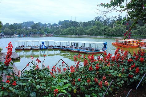 On a foggy day in Burnham Park, Baguio City, Philippines, via Flickr. Burnham Park Baguio Aesthetic, Burnham Park Baguio, Burnham Park, Journal Aesthetics, Baguio City Philippines, Foggy Day, Baguio City, Baguio, Philippines Travel