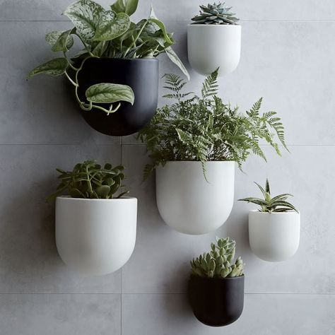 Wall Planters Indoor, Hanging Wall Planters, Wall Planters, Indoor Outdoor Planter, Bathroom Plants, Bedroom Plants, Décor Boho, Living Wall, Decor Minimalist