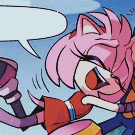 Amy Sonic, Best Friend Match, Duos Icons, Sonic And Amy, Iphone Photo App, Pretty Braided Hairstyles, Matching Wallpaper, Amy Rose, Couples Icons