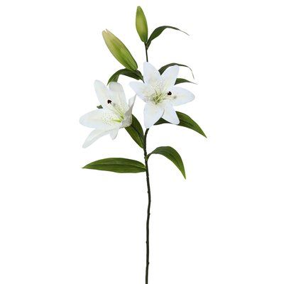 White Tiger Lily, Dining Room Arrangement, White Lily Flower, Tiger Lilies, Rose Floral Arrangements, Artificial Floral Arrangements, Lily Plants, Floral Border Design, White Lilies