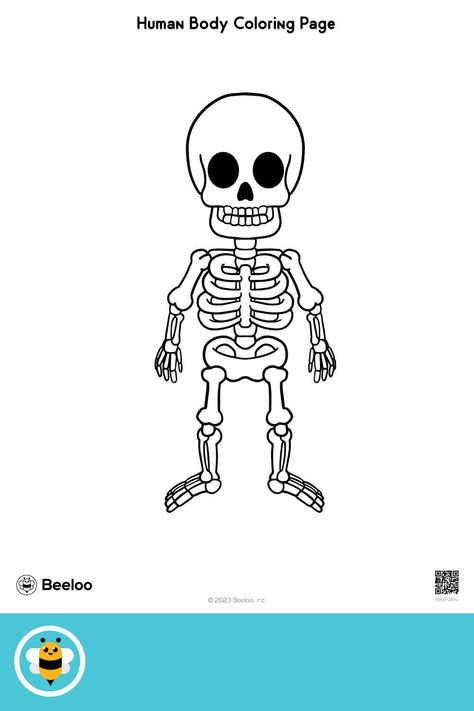 Medium human body-themed coloring page for kids ages 5 and up. Featuring: Skeleton, bones, framework Human Body Coloring Pages, Bone Drawing, Free Coloring Pictures, Spongebob Coloring, Harry Potter Coloring Pages, Harry Potter Colors, Happy Birthday Coloring Pages, Santa Coloring Pages, Secret Garden Coloring Book