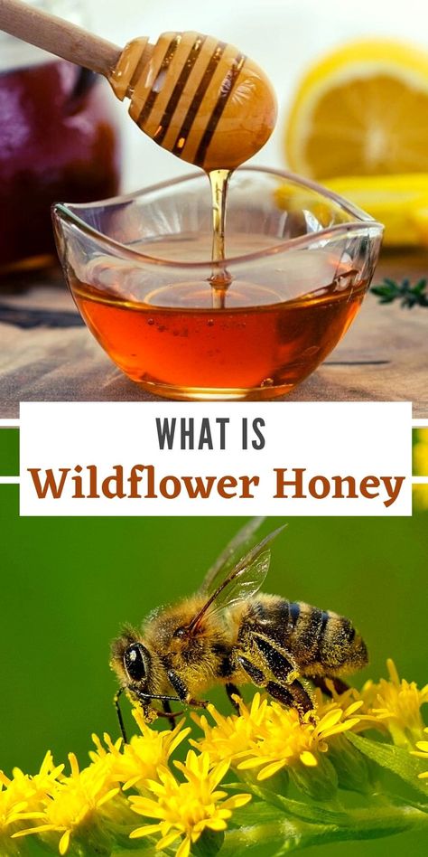 Duck Flower Benefits, Honey For Dogs Benefits, Raw Honey And Garlic Benefits, Benefits Of Raw Honey, Wildflower Honey Benefits, Honey Benefits, Herbal Drinks, Natural Herbs, Different Flowers