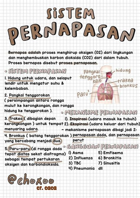 Organ Pernapasan Manusia, Organ Pencernaan, Materi Ipa, School Study Ideas, Creative School Project Ideas, Book Editing, Medical School Inspiration, Medical School Essentials, Science Notes