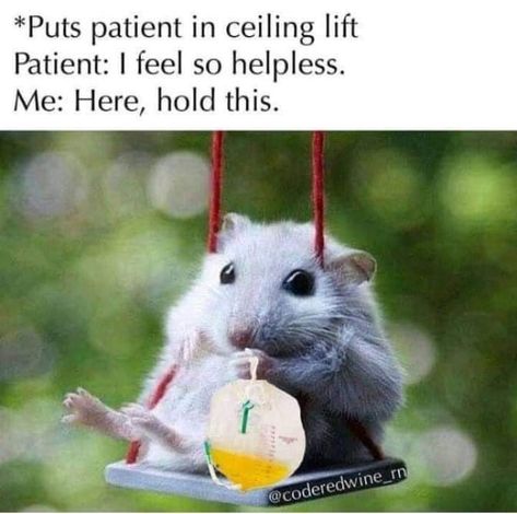 Healthcare Memes, Night Shift Nurse Humor, Nurse Jokes Humour, Cna Humor, Night Shift Humor, Nurse Style, Hospital Humor, Medical Memes, Nursing Fun