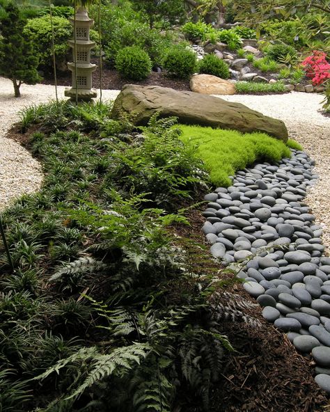 Window view from Japanese-style home - Asian - Landscape - Philadelphia - by Hanselman Landscape and Gardens | Houzz Mcm Backyard, Pine Landscape, Gravel Landscaping, Landscaping Design Ideas, Asian Landscape, Asian Garden, Landscape Designer, Better Homes And Garden, Traditional Landscape