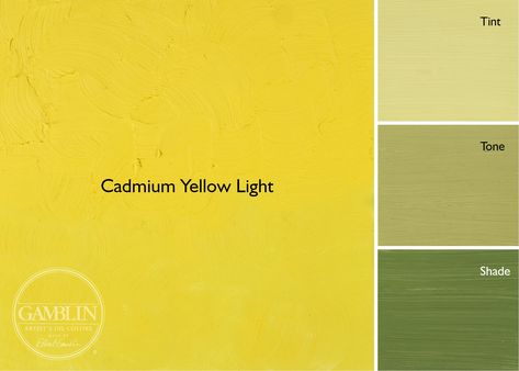 Cadmium Yellow Light Cadmium Yellow, Safflower Oil, Coloring Inspiration, Colour Tint, Unique Characteristics, Yellow Light, Oil Paints, Art Tips, Gold Coast