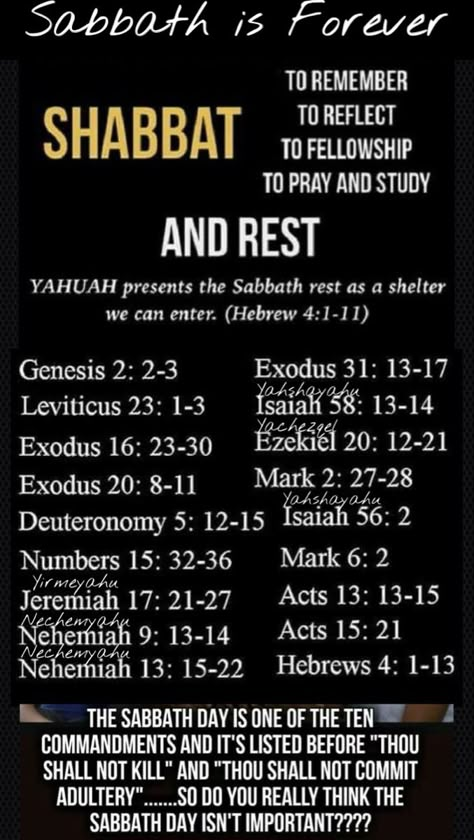 Shabbat Prayers, Happy Sabbath Quotes, Biblical Facts, Sabbath Quotes, Yahuah Yahusha, Sabbath Rest, Womens Bible, Hebrew Lessons, Happy Sabbath