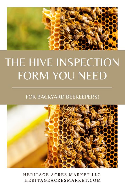 Diy Beekeeping, Backyard Bees, Honey Bee Farming, Bee Keeping Hives, Honey Bees Keeping, West Coast Canada, Keeping Bees, Backyard Bee, Beekeeping For Beginners