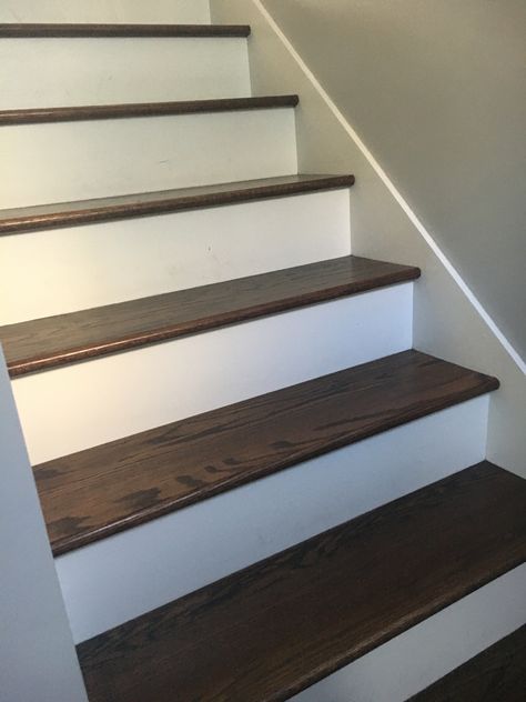 Dark Stain Stair Treads, White Risers Stairs Dark Wood, Espresso Stained Stairs, Wood Top Stairs, Stained Stairs With White Trim, White And Brown Stairs, Dark Brown Stairs, Modern Stairs Design Ideas, Stain Stairs