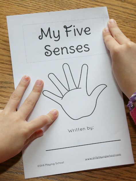 FREE My Five Senses Book for kids to create, write, illustrate, and read themselves! Five Senses Grade 1, 5 Senses Books Preschool, 5 Senses For Kids, My Five Senses Activities, 5 Senses Book, Senses Kindergarten, 5 Senses Craft, 5 Senses Preschool, Five Senses Preschool