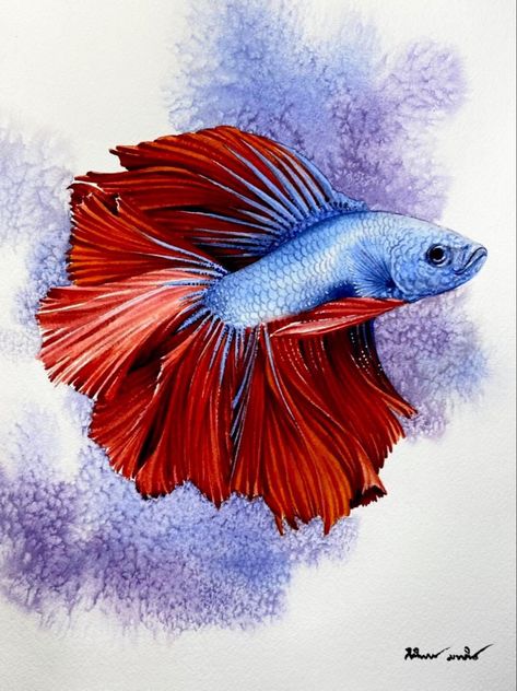 Betta Fish Painting, Betta Fish Art, Goldfish Art, Fish Watercolor, Beta Fish, Water Creatures, Watercolor Fish, Art Fish, Kids Art Class