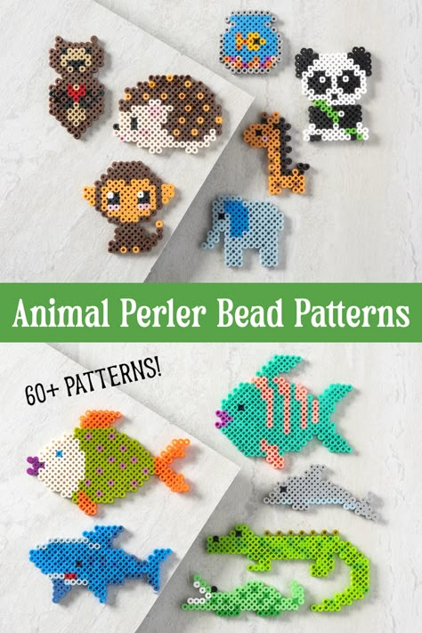 Animal lovers, you're going to love these 60+ perler bead patterns! These animal perler beads include mammals, fish, reptiles, amphibians, birds, and more. Pearler Bead Patterns Animals, Perler Bead Lizard Pattern, Melty Bead Animals, Easy Beads Patterns, Pearl Beads Designs, Perler Beads Dolphin, Animal Beads Pattern, Peeler Bead Template, Pear Beads Ideas