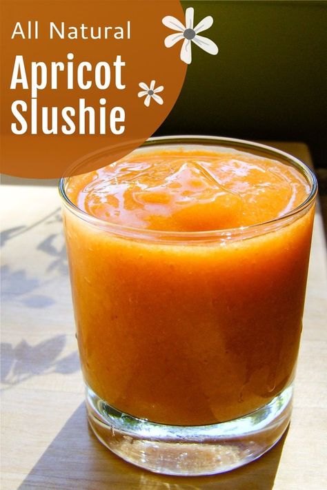 Fresh Apricot Slushie Recipe - cool, refreshing, and flavorful. Naturally allergy-friendly, plant-based, and paleo optional Healthy Frosty, Peanut Free Desserts, Slushie Recipe, Fresh Fruit Recipes, Nut Free Recipes, Protein Smoothie Recipes, Allergy Free Recipes, Allergy Friendly Recipes, Fresh Summer